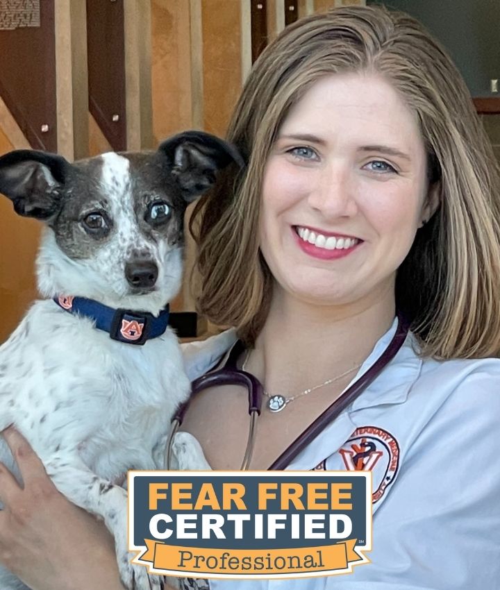 Dr. Taylor Foster, DVM Cross Timbers Animal Medical Center